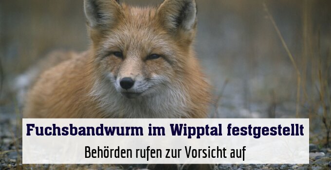 Behörden rufen zur Vorsicht auf