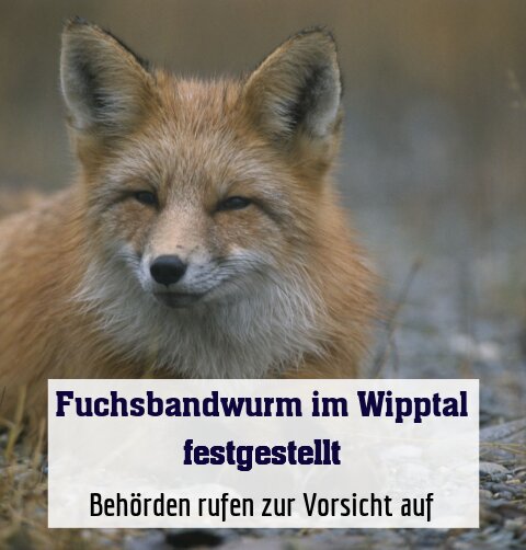 Behörden rufen zur Vorsicht auf