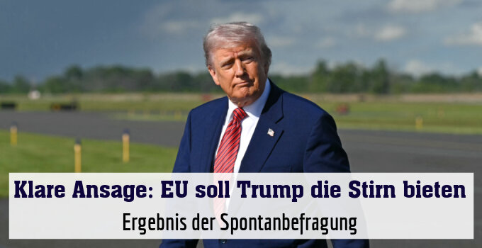 Ergebnis der Spontanbefragung
