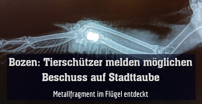 Metallfragment im Flügel entdeckt