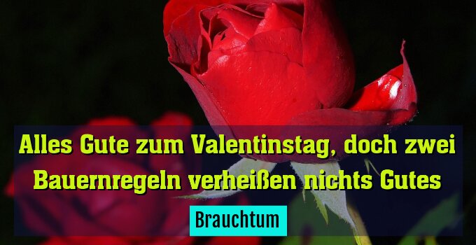 Brauchtum