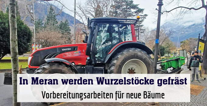 Vorbereitungsarbeiten für neue Bäume
