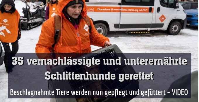 Beschlagnahmte Tiere werden nun gepflegt und gefüttert – VIDEO