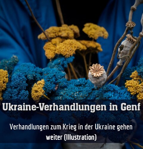 Verhandlungen zum Krieg in der Ukraine gehen weiter (Illustration)