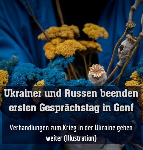 Verhandlungen zum Krieg in der Ukraine gehen weiter (Illustration)