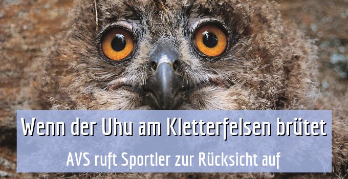 AVS ruft Sportler zur Rücksicht auf