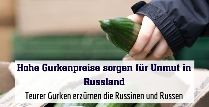 Teurer Gurken erzürnen die Russinen und Russen (Symbolbild)