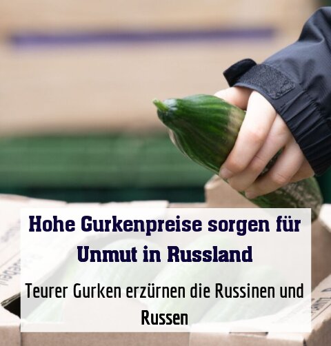 Teurer Gurken erzürnen die Russinen und Russen (Symbolbild)