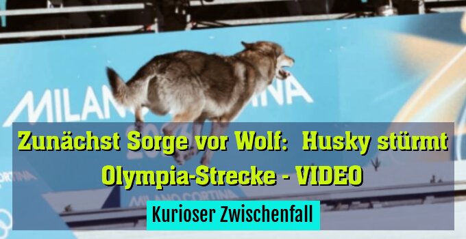 Kurioser Zwischenfall
