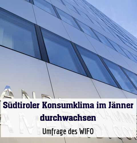 Umfrage des WIFO