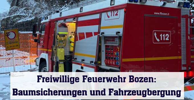 Baumsicherungen und Fahrzeugbergung
