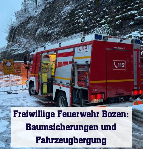 Baumsicherungen und Fahrzeugbergung