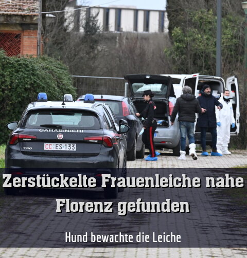 Hund bewachte die Leiche