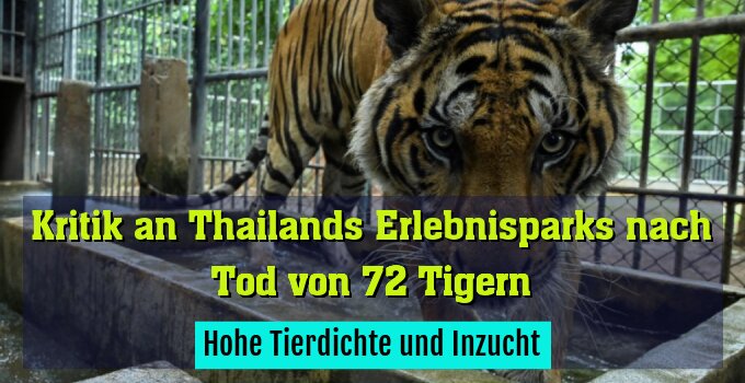 Hohe Tierdichte und Inzucht