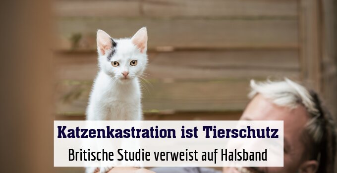 Britische Studie verweist auf Halsband