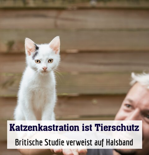 Britische Studie verweist auf Halsband