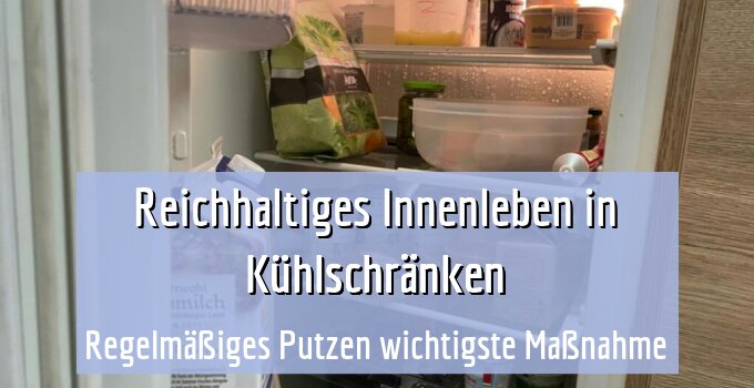 Regelmäßiges Putzen wichtigste Maßnahme