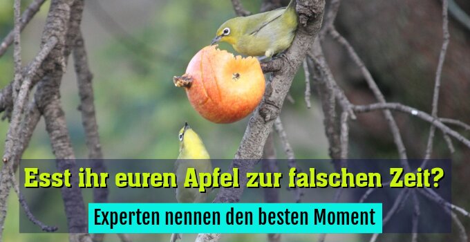 Experten nennen den besten Moment