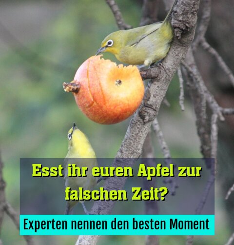 Experten nennen den besten Moment