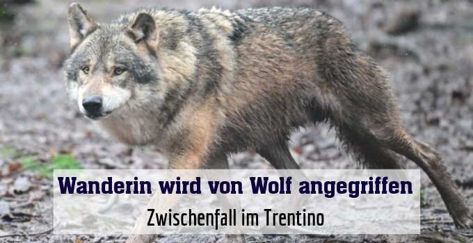 Zwischenfall im Trentino