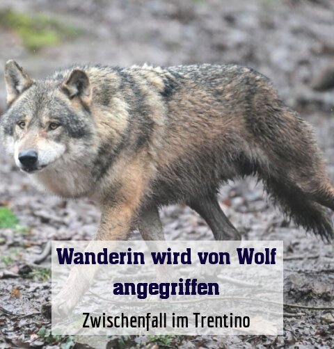 Zwischenfall im Trentino