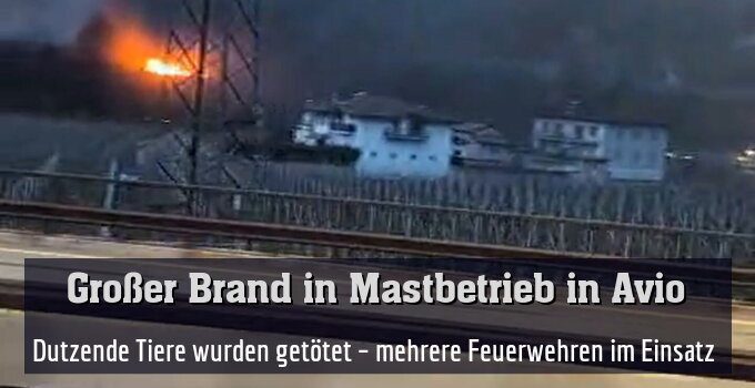 Dutzende Tiere wurden getötet – mehrere Feuerwehren im Einsatz 