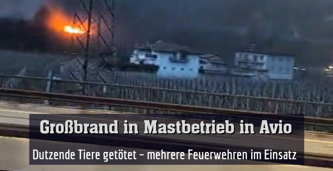 Dutzende Tiere wurden getötet – mehrere Feuerwehren im Einsatz 