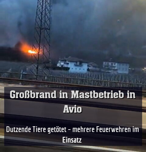 Dutzende Tiere wurden getötet – mehrere Feuerwehren im Einsatz 