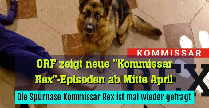 Die Spürnase Kommissar Rex ist mal wieder gefragt