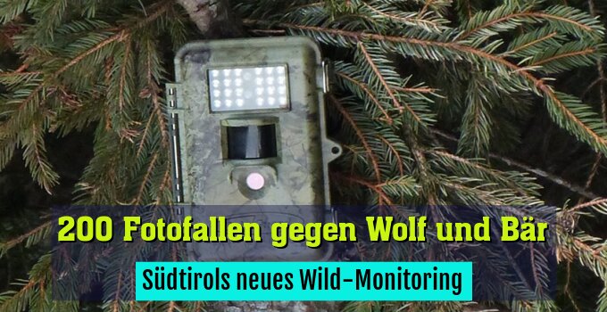 Südtirols neues Wild-Monitoring