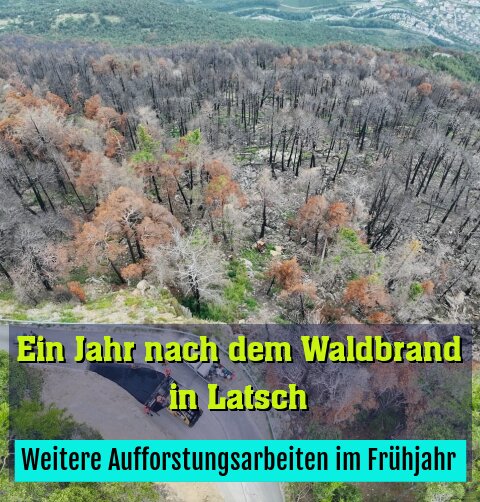 Weitere Aufforstungsarbeiten im Frühjahr