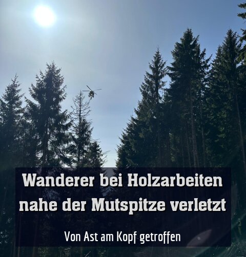 Von Ast am Kopf getroffen