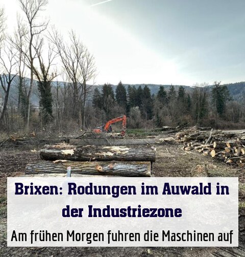 Am frühen Morgen fuhren die Maschinen auf