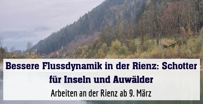 Arbeiten an der Rienz ab 9. März