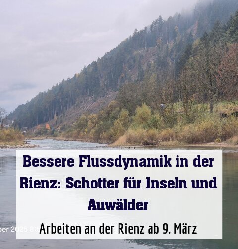 Arbeiten an der Rienz ab 9. März