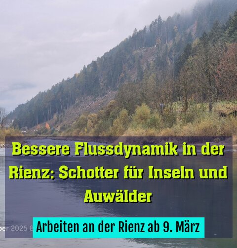 Arbeiten an der Rienz ab 9. März