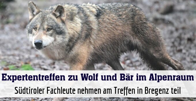 Südtiroler Fachleute nehmen am Treffen in Bregenz teil