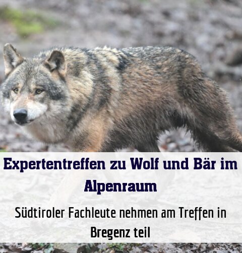 Südtiroler Fachleute nehmen am Treffen in Bregenz teil