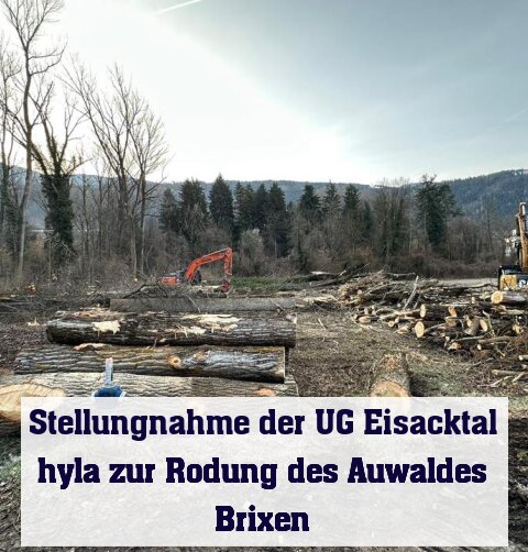 Aus aktuellem Anlass meldet sich die UG Eisacktal hyla mit einer Stellungnahme zu Wort