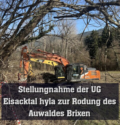 Aus aktuellem Anlass meldet sich die UG Eisacktal hyla mit einer Stellungnahme zu Wort