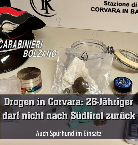 Auch Spürhund im Einsatz