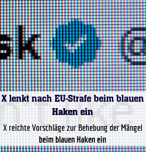 X reichte Vorschläge zur Behebung der Mängel beim blauen Haken ein