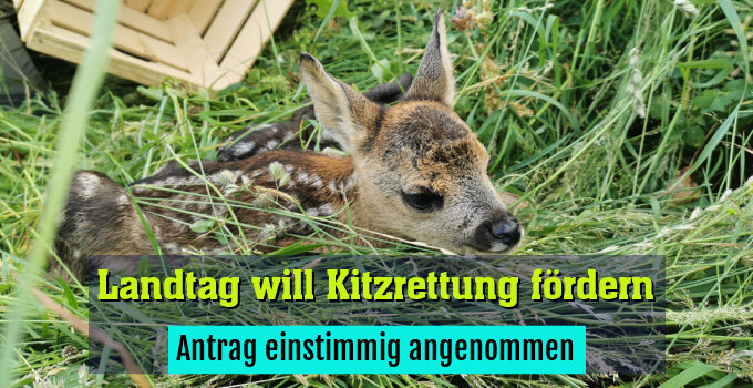 Antrag einstimmig angenommen