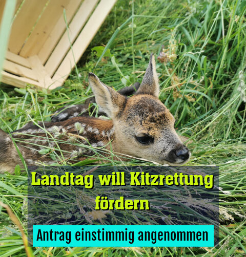 Antrag einstimmig angenommen