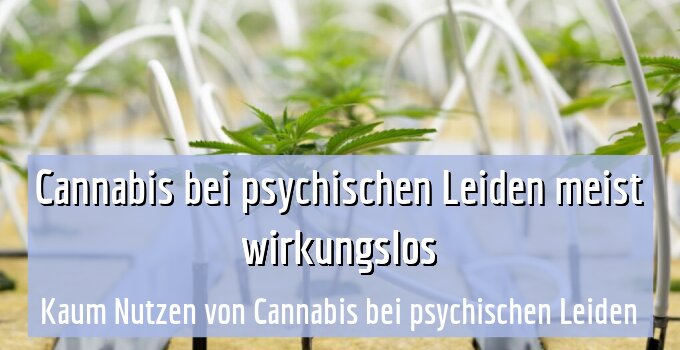 Kaum Nutzen von Cannabis bei psychischen Leiden