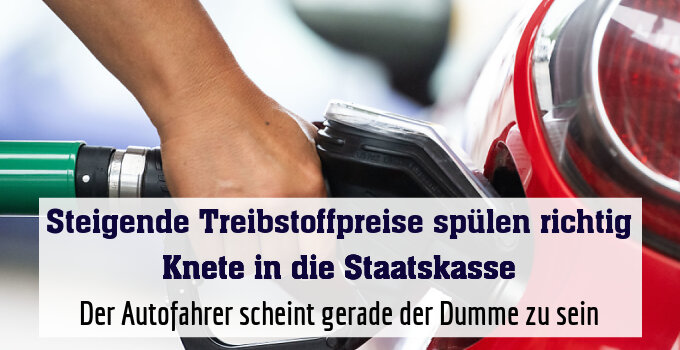 Autofahrer scheint gerade der Dumme zu sein