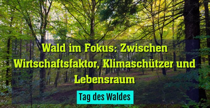 Tag des Waldes