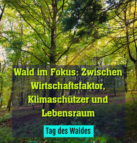 Tag des Waldes