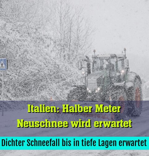 Dichter Schneefall bis in tiefe Lagen erwartet