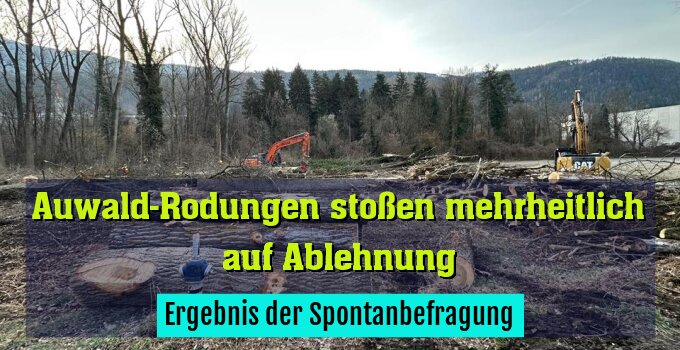 Ergebnis der Spontanbefragung